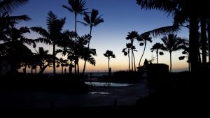 Courtyard Coconut Beach sunrise