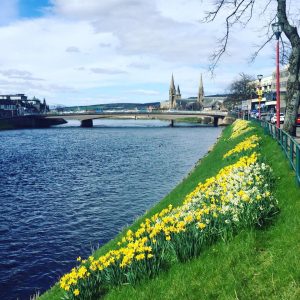 The bank of the river in Inverness with yellow flowers, very green grass and the river in Scotland