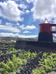 a windmill and blue sky on Azores Islands Portugal