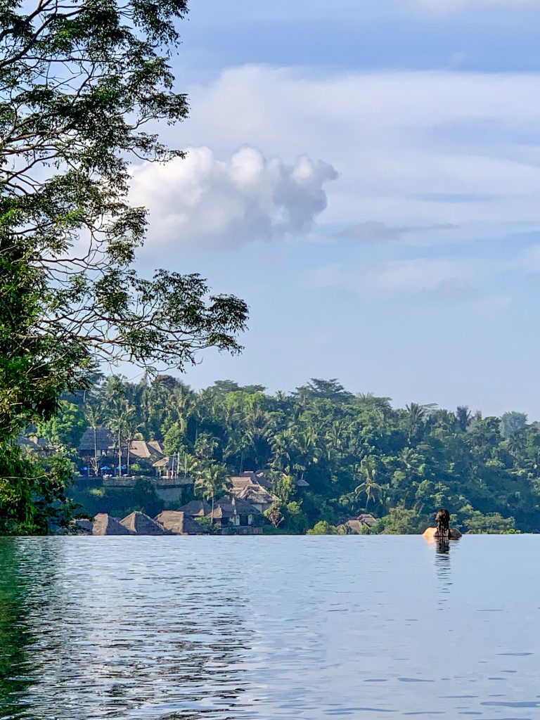 infinity pool overlooking nature in Ubud Bali