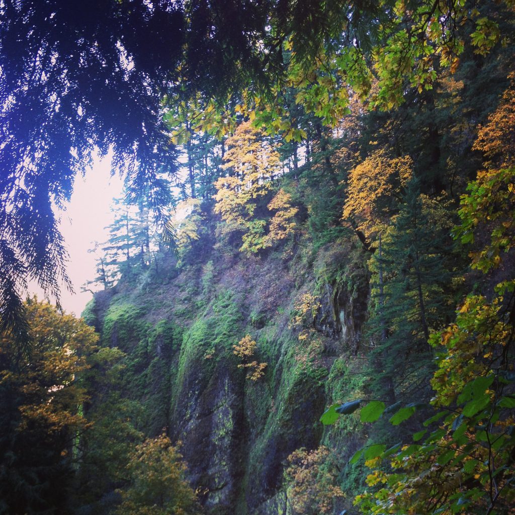 the side of a cliff wall with green and orange leaves inColumbia gorge Oregon