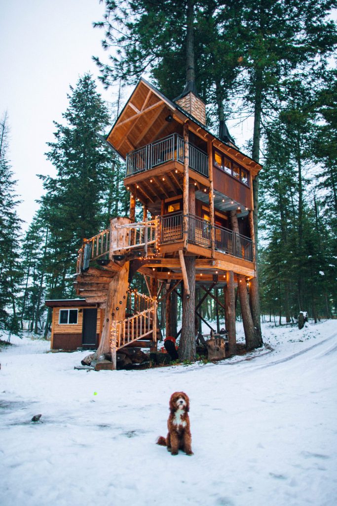 a luxury camping or glamping tree house in the winter with a dog