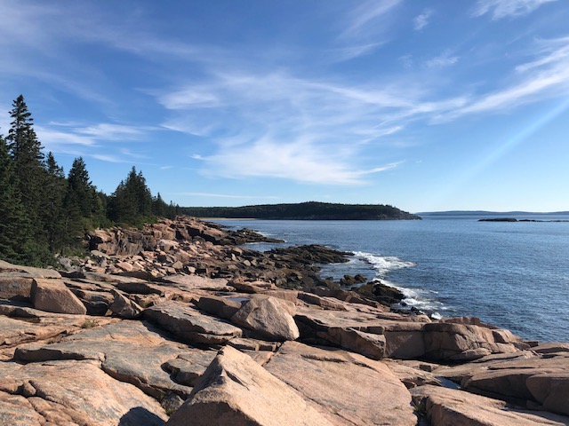 a stretch of rocky beach and pine trees in Acadia National Park Maine