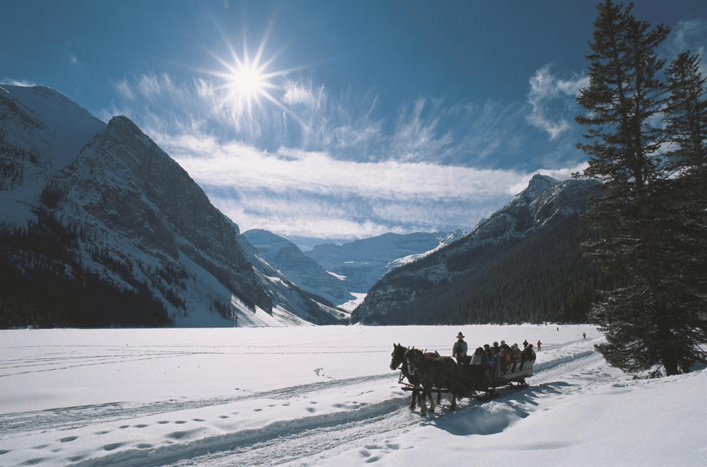 a horse-drawn sliegh ride set in the white fluffy snow, towering mountains and evergreen forest of the Canadian Rockies