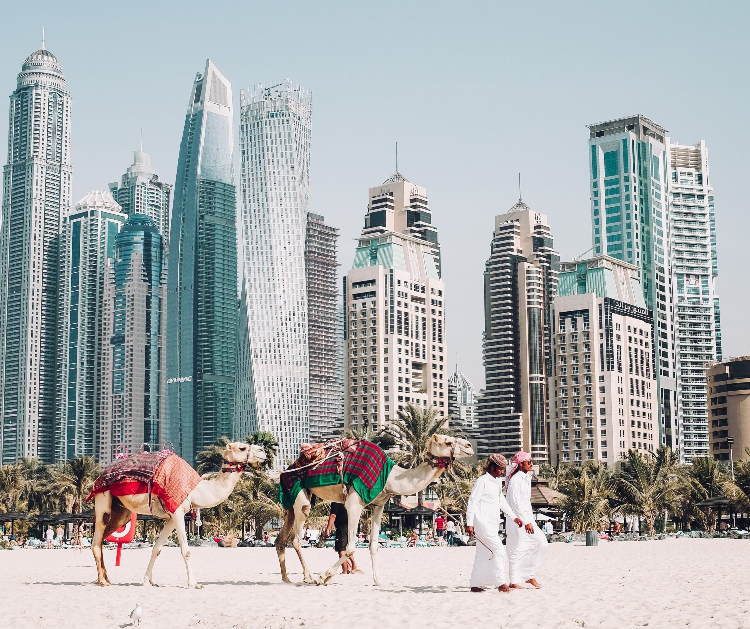 two men in long white outfits lead two camels on the sand in front ofthe Dubai skyline