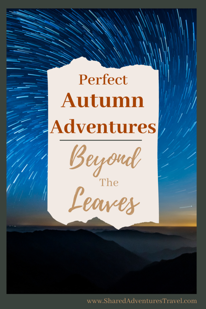 Fall Beyond the Leaves Pin