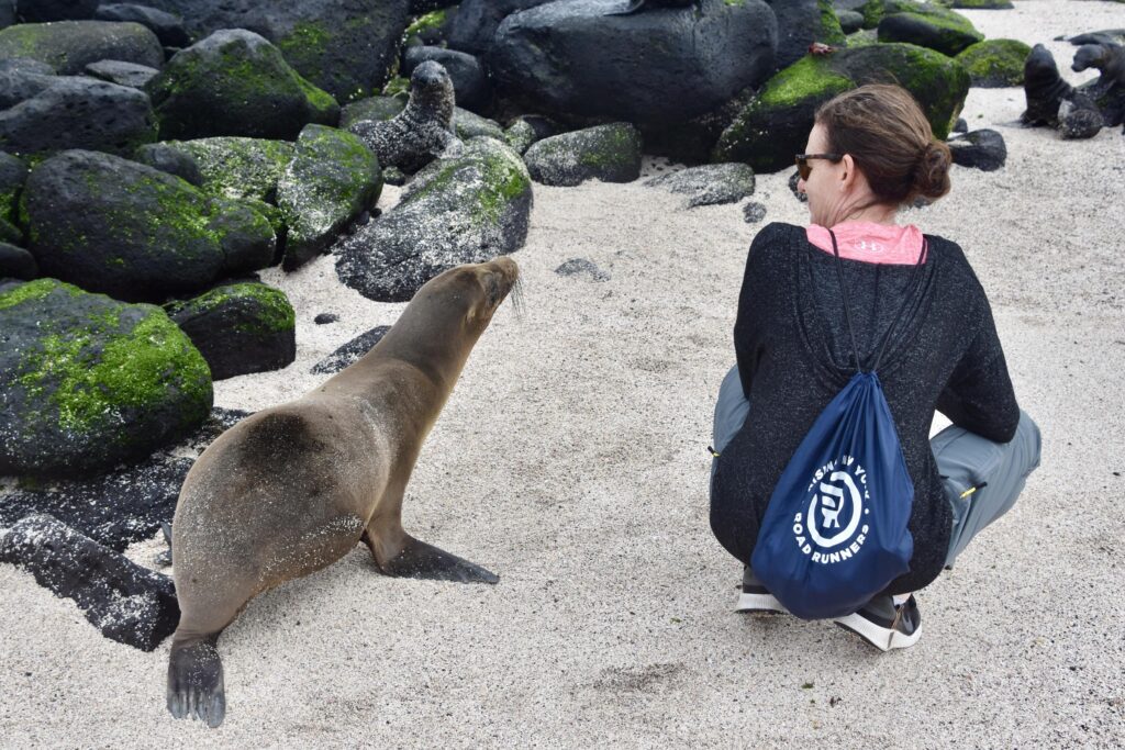 a seal and a woman sit side by side on the beach in the Galapagos
